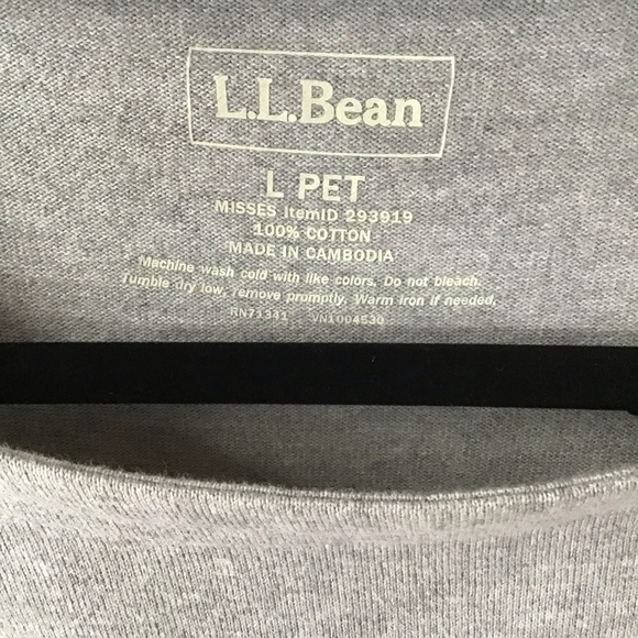 Grey and blue stripe Cotton Dress, LLBean, sz LPc - Picture 5 of 10